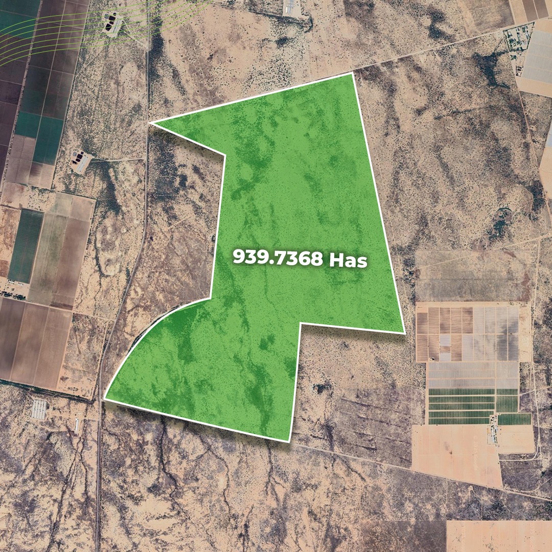 WhatsApp Image 2025-07-11 at 16.26.32