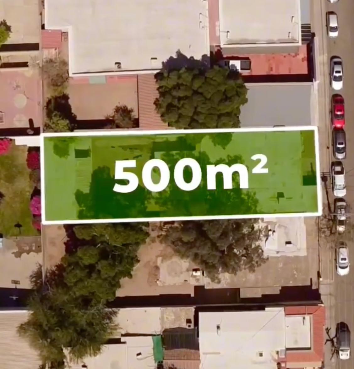 WhatsApp Image 2025-06-11 at 17.00.11