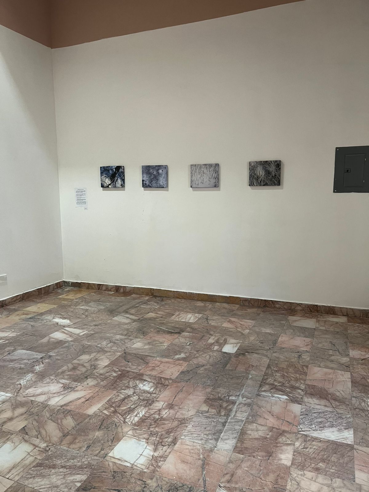 1a55b319-1e82-498b-b615-7268cedb9eb8