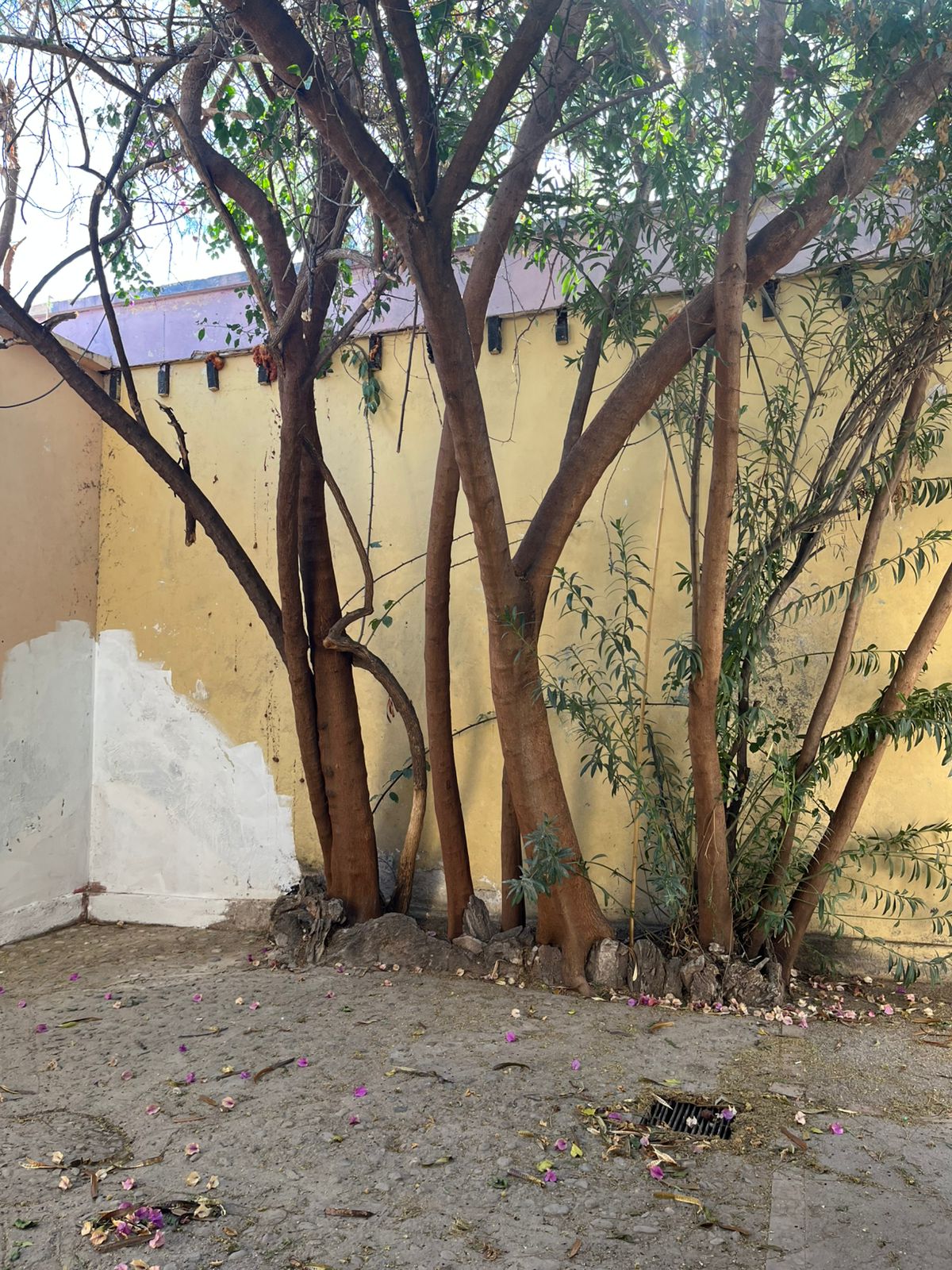 407e7889-f733-4a5c-a636-7f31ff7968ac