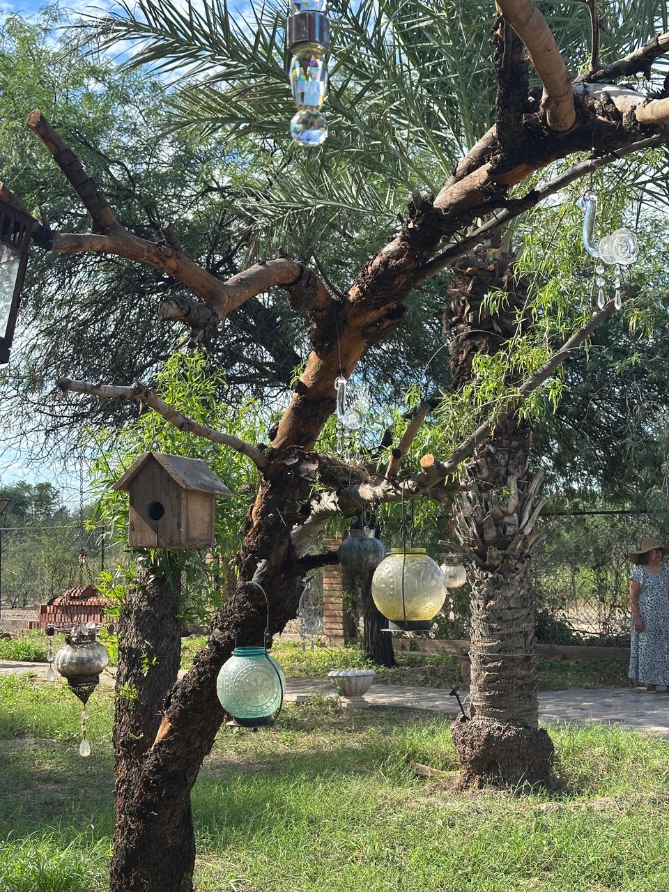 3bb9541d-6c6e-4f73-bb4d-038d09ad2b33