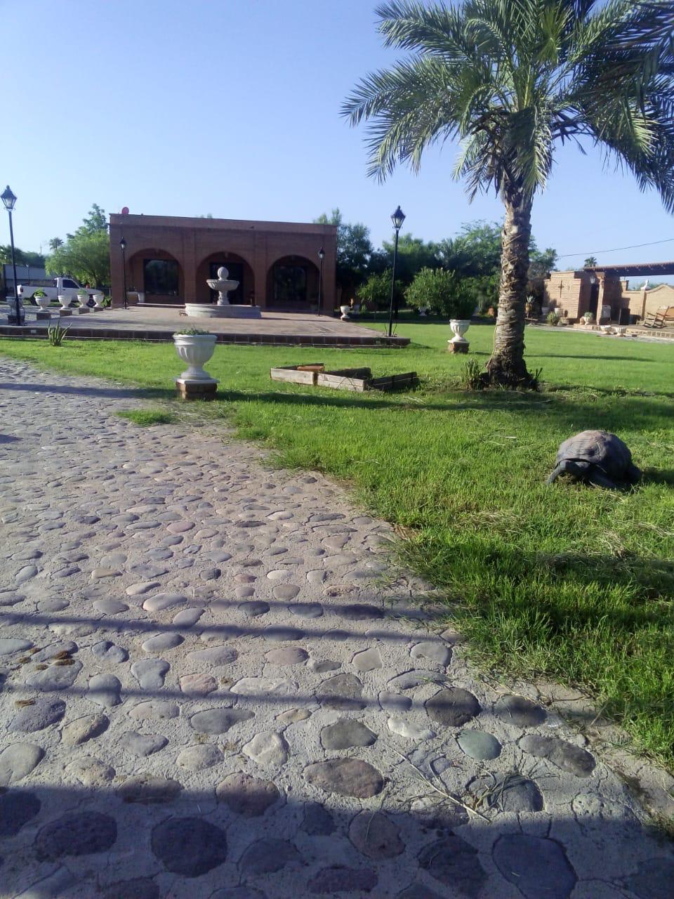 cfcbe463-3682-415f-adcd-0b2203fa79e5