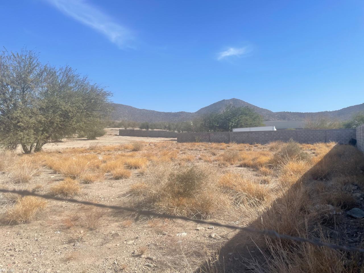 WhatsApp Image 2025-10-22 at 16.26.59 (1)