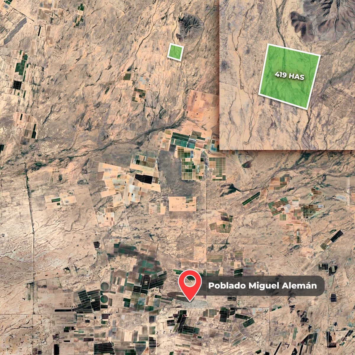 WhatsApp Image 2025-11-12 at 11.18.55