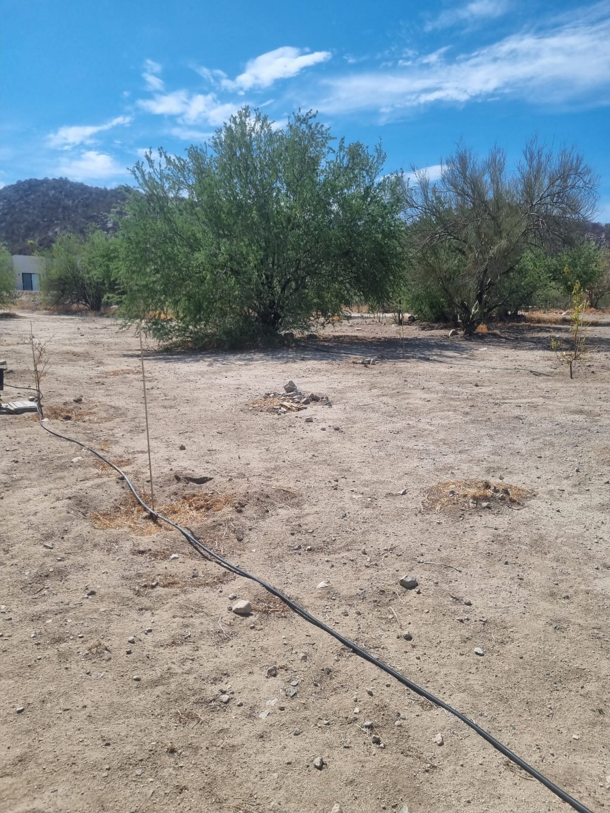 29210093-4cde-498f-bd03-28e6d28db44a