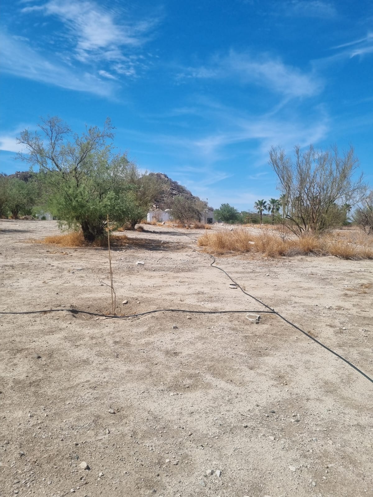 5439e4c2-f627-4dcb-8759-c2a474b7fc31