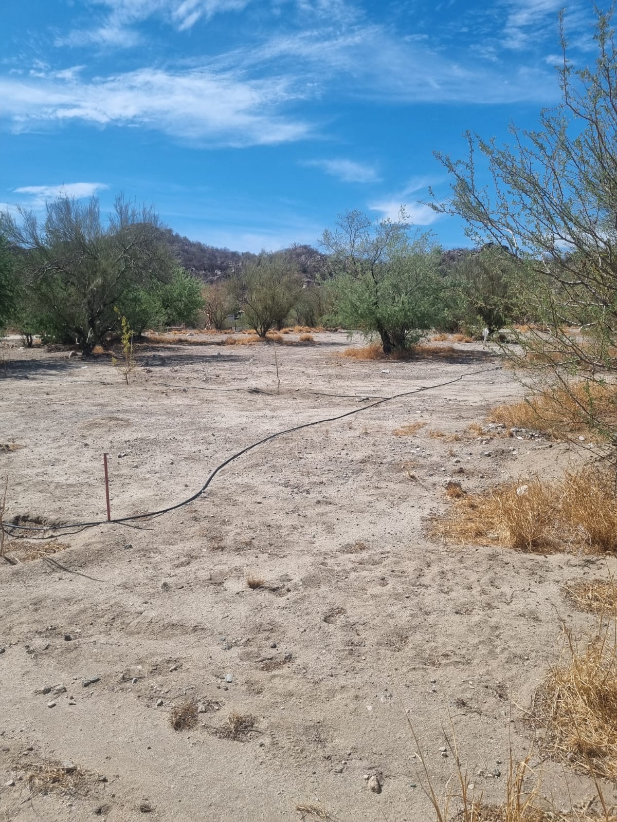 64002d36-516e-4104-917d-ca7317bb3bd5