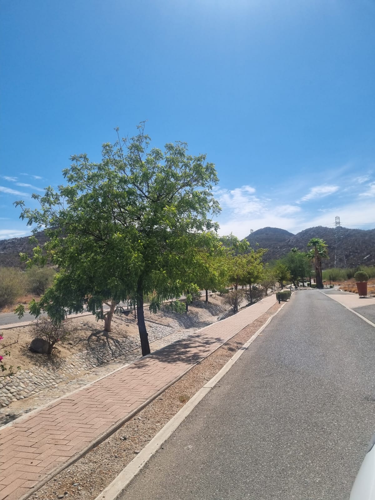 6b802539-e96e-42b9-9b2a-3872a1a3527d