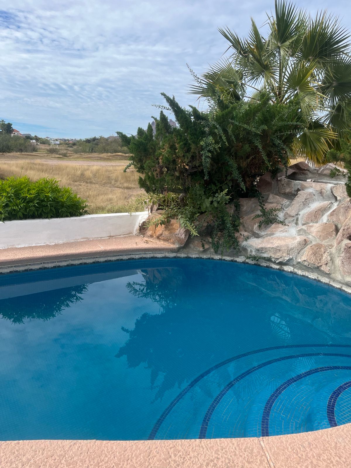 9c8dcd12-b8f0-4f3a-835a-b09df621378a