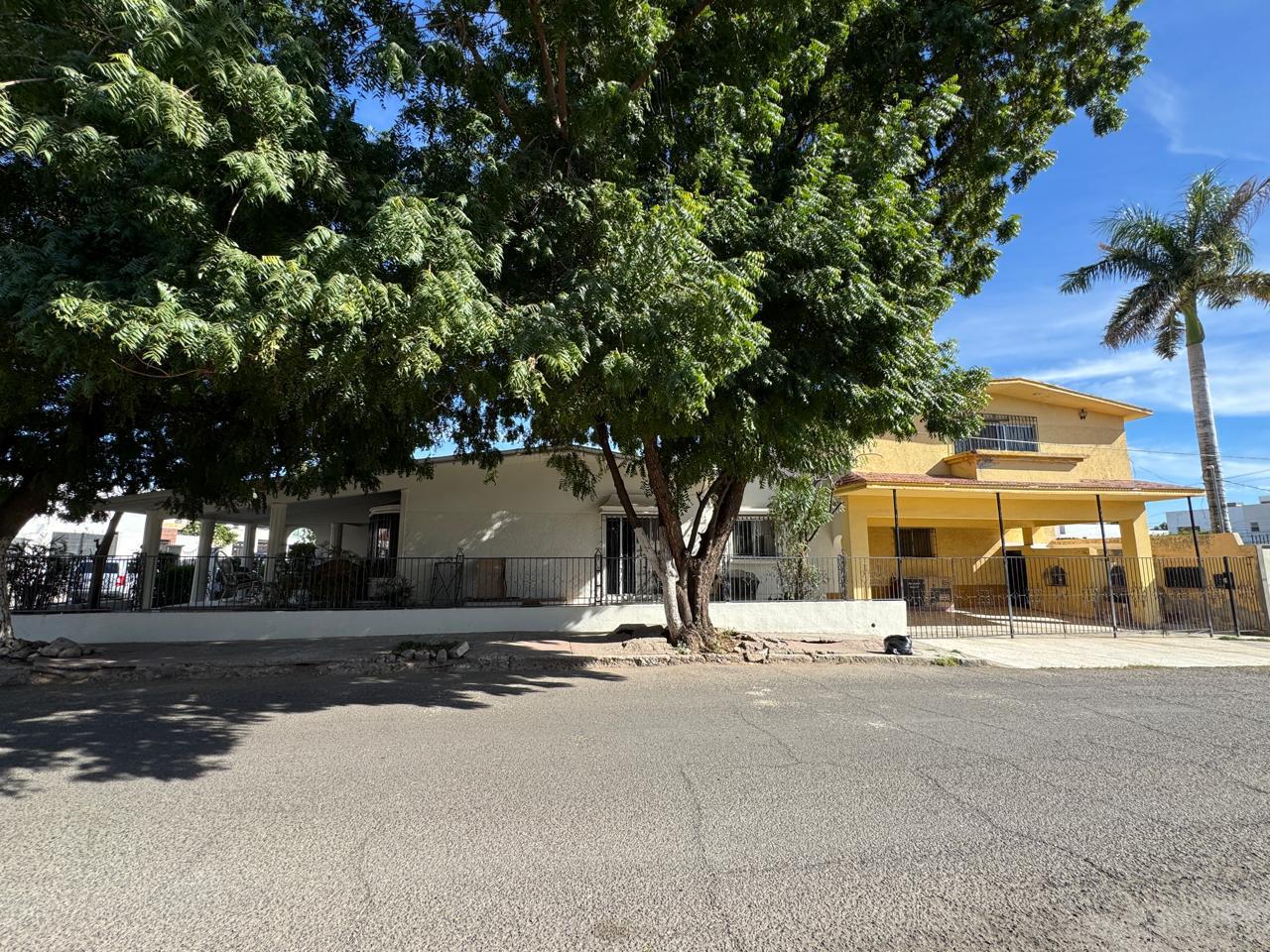 a6025c3a-32c0-4ee8-9055-e8b785a5f673