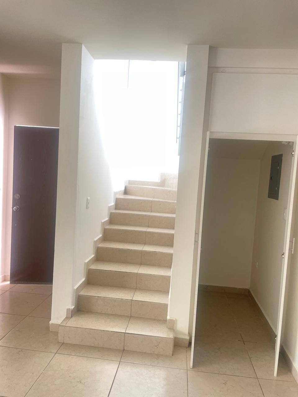 d1d68b95-54fd-49ee-b67c-09ea5c9615ed