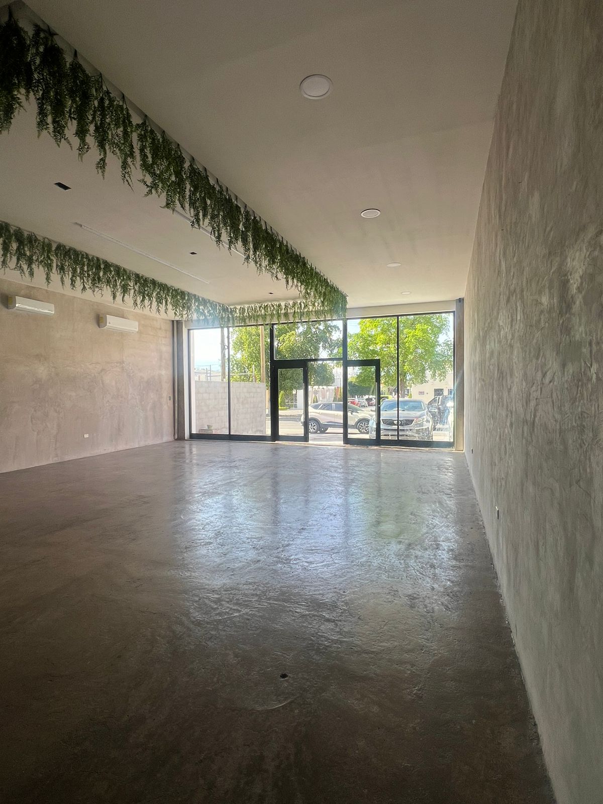 WhatsApp Image 2026-02-05 at 11.57.43 AM