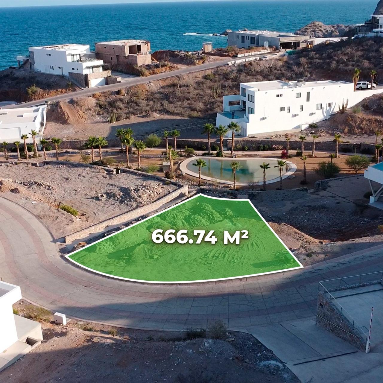 WhatsApp Image 2026-02-09 at 14.47.04