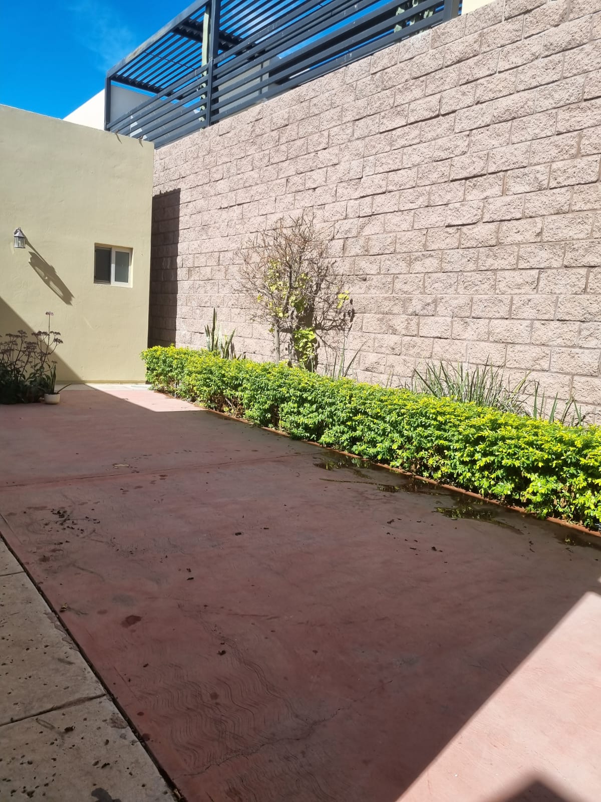 WhatsApp Image 2026-02-11 at 12.27.08 (1)