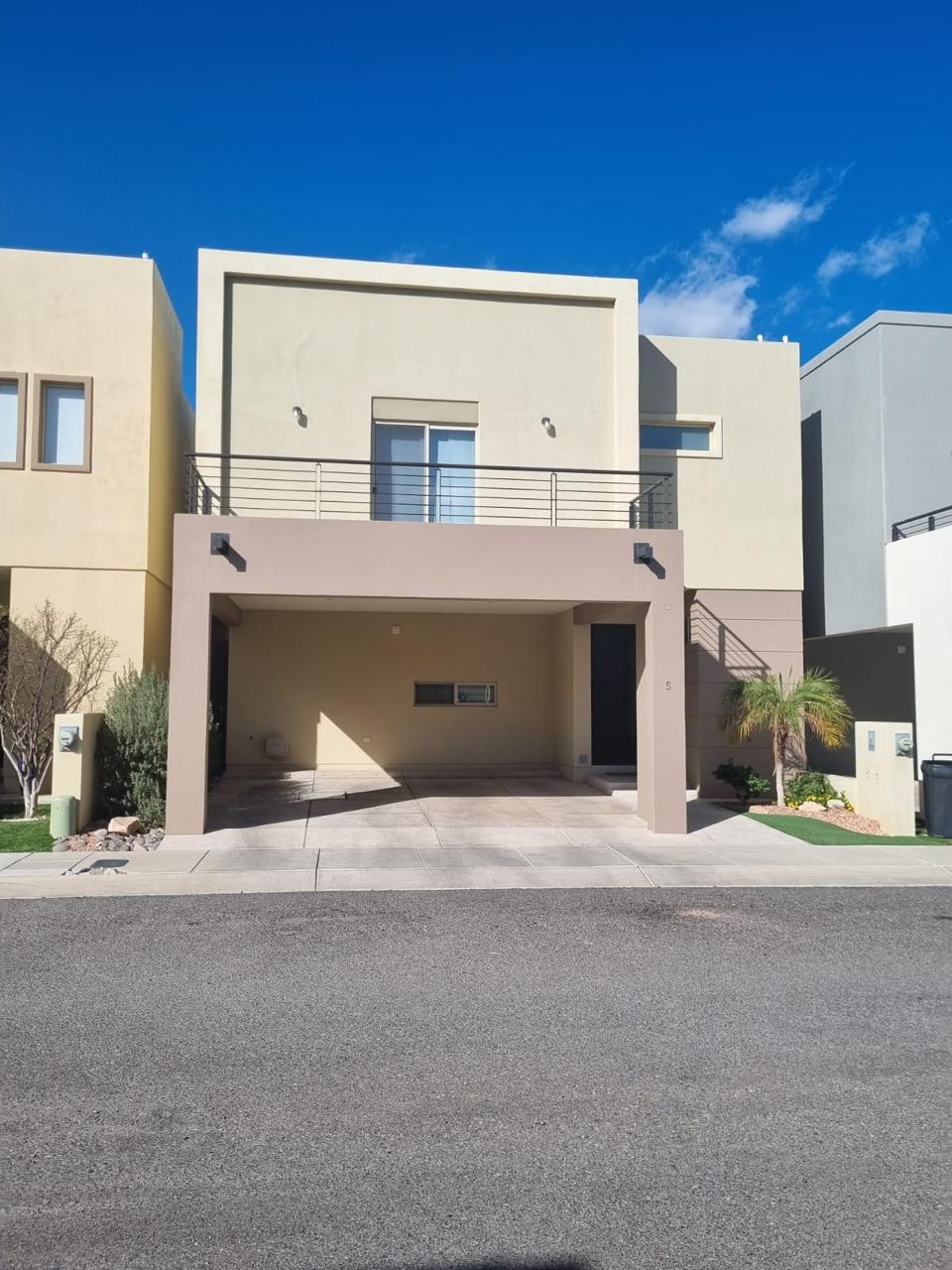 WhatsApp Image 2026-02-11 at 13.15.46