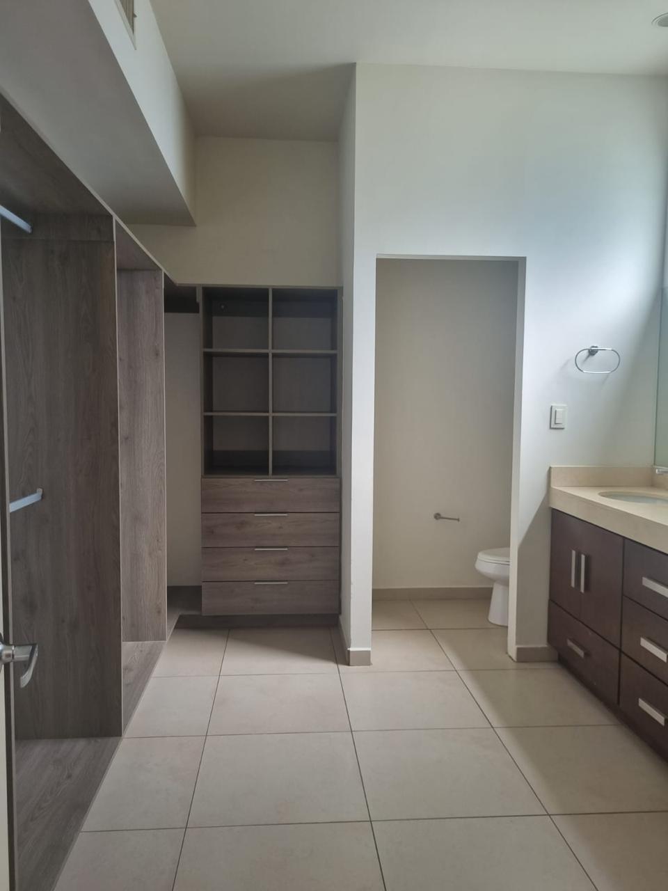 WhatsApp Image 2026-02-11 at 13.15.47 (1)