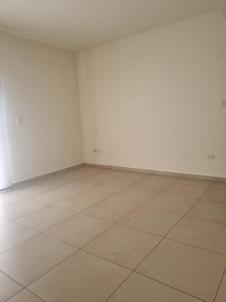 WhatsApp Image 2026-02-11 at 13.15.48