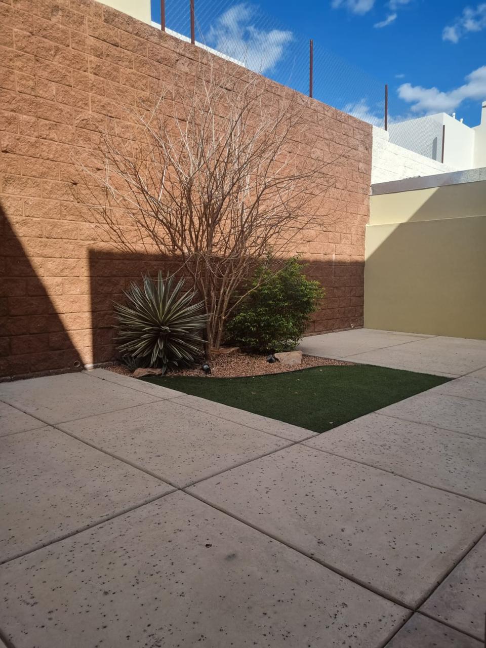 WhatsApp Image 2026-02-11 at 13.15.50