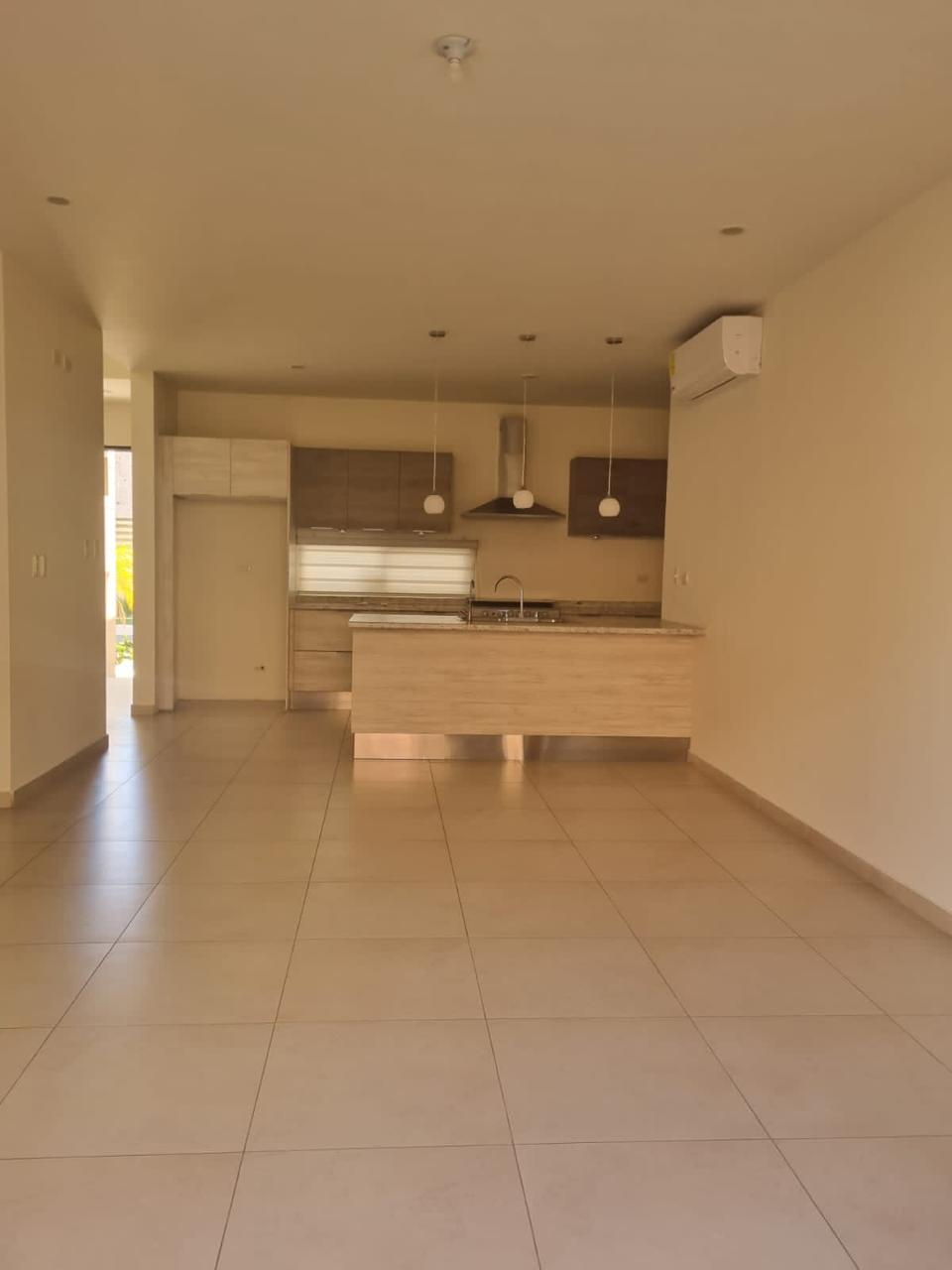 WhatsApp Image 2026-02-11 at 13.15.51