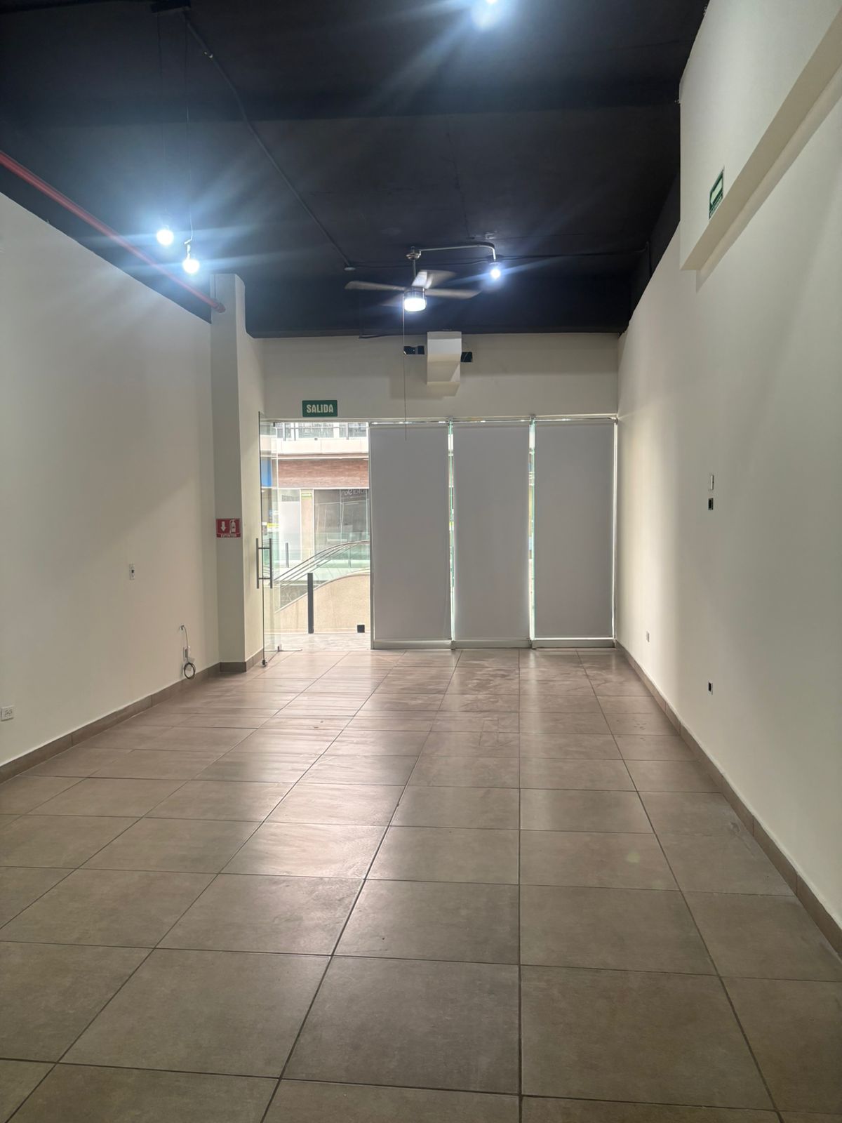 WhatsApp Image 2026-02-11 at 17.12.14