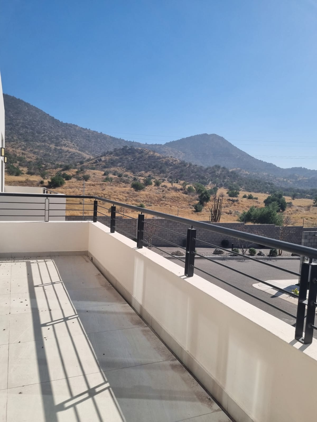 WhatsApp Image 2026-02-12 at 11.53.15 (2)