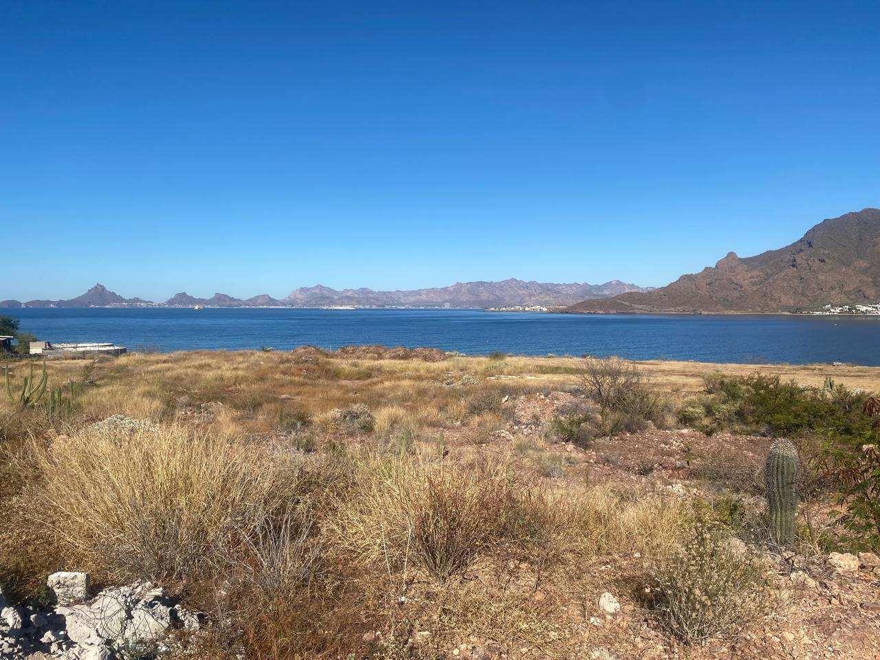 WhatsApp Image 2026-02-12 at 12.45.33