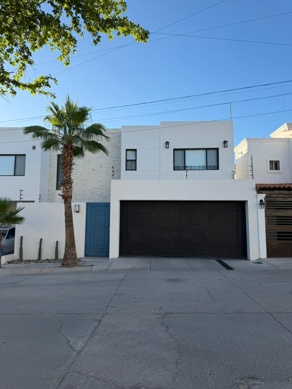 WhatsApp Image 2026-02-12 at 15.46.36 (14)